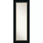21" x 55" Non-Beveled Paragon Bronze Full Length on The Door Mirror - Amanti Art: Polystyrene Frame, Includes Mounting Hardware