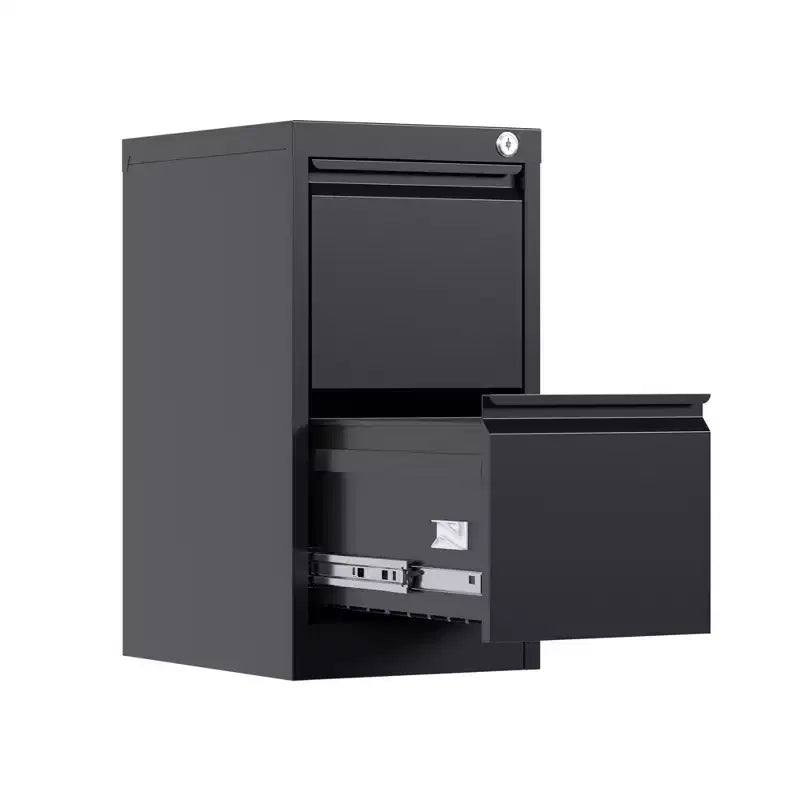 Meuble Classeur Vertical COZONY avec Serrure, Rangement Métallique 2 Tiroirs pour Documents Lettre et Légal