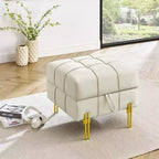 TUYOHW 22 Pouf de rangement en cuir anti-rayures, banc de bout de lit adapté aux animaux de compagnie avec pieds en métal doré, pouf pour salon, chambre, entrée