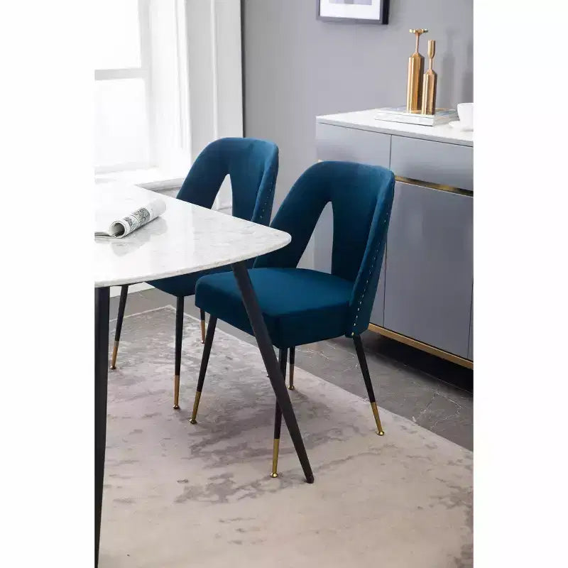 TUYOHW Lot de 2 chaises de salle à manger contemporaines, chaises d'appoint élégantes pour salle à manger, chaises d'appoint chics avec dossier clouté pour cuisine, décoration intérieure