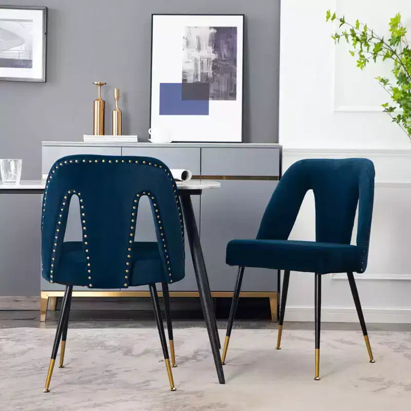 TUYOHW Lot de 2 chaises de salle à manger contemporaines, chaises d'appoint élégantes pour salle à manger, chaises d'appoint chics avec dossier clouté pour cuisine, décoration intérieure