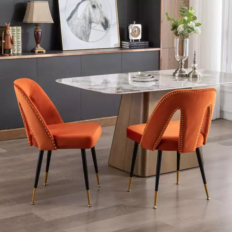 TUYOHW Lot de 2 chaises de salle à manger contemporaines, chaises d'appoint élégantes pour salle à manger, chaises d'appoint chics avec dossier clouté pour cuisine, décoration intérieure