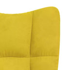 vidaXL Chaise relax en velours gris clair (100 % polyester), acier Standard