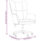 vidaXL Chaise relax en velours gris clair (100 % polyester), acier Standard