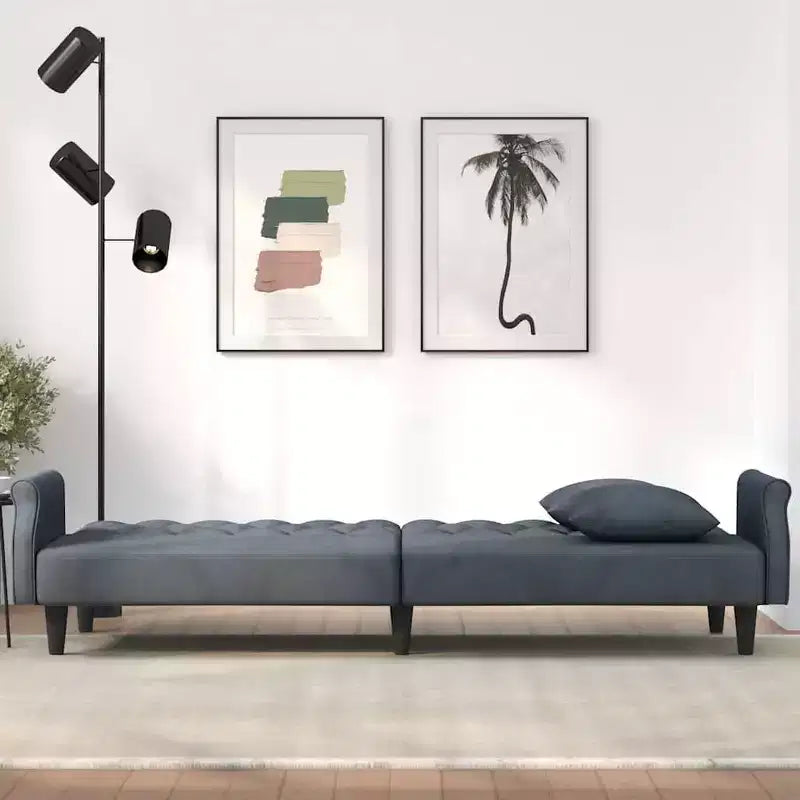 vidaXL Canapé convertible avec accoudoirs Canapé-lit en velours inclinable Causeuse