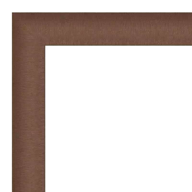 Amanti Art Élégant miroir mural de salle de bain à petit biseau brossé