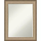 Amanti Art Elegant Brushed Petite Bevel Bathroom Wall Mirror